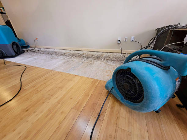 Professional Sewage Cleanup technician working in Hometown, IL